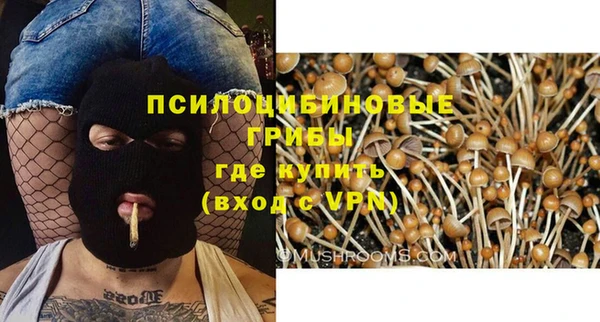 гидра Липки
