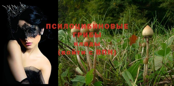 винт Лихославль