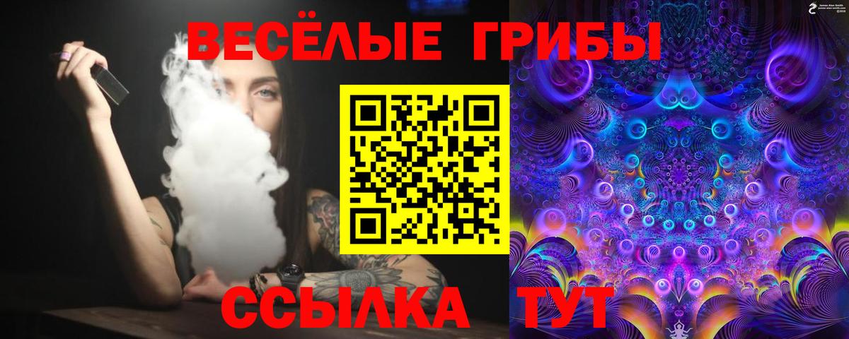 Псилоцибиновые грибы GOLDEN TEACHER  Вход с VPN  Топки 